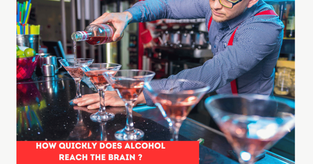 What Affects the Onset of Alcohol’s Effects?