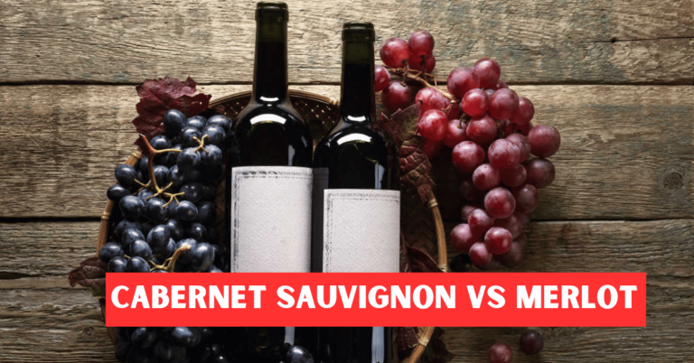 Cabernet Sauvignon vs Merlot: A Complete Comparison of Two Iconic Wines