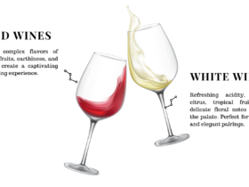 White Wine vs Red Wine